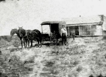 buggie0201.jpg - 24007 Bytes